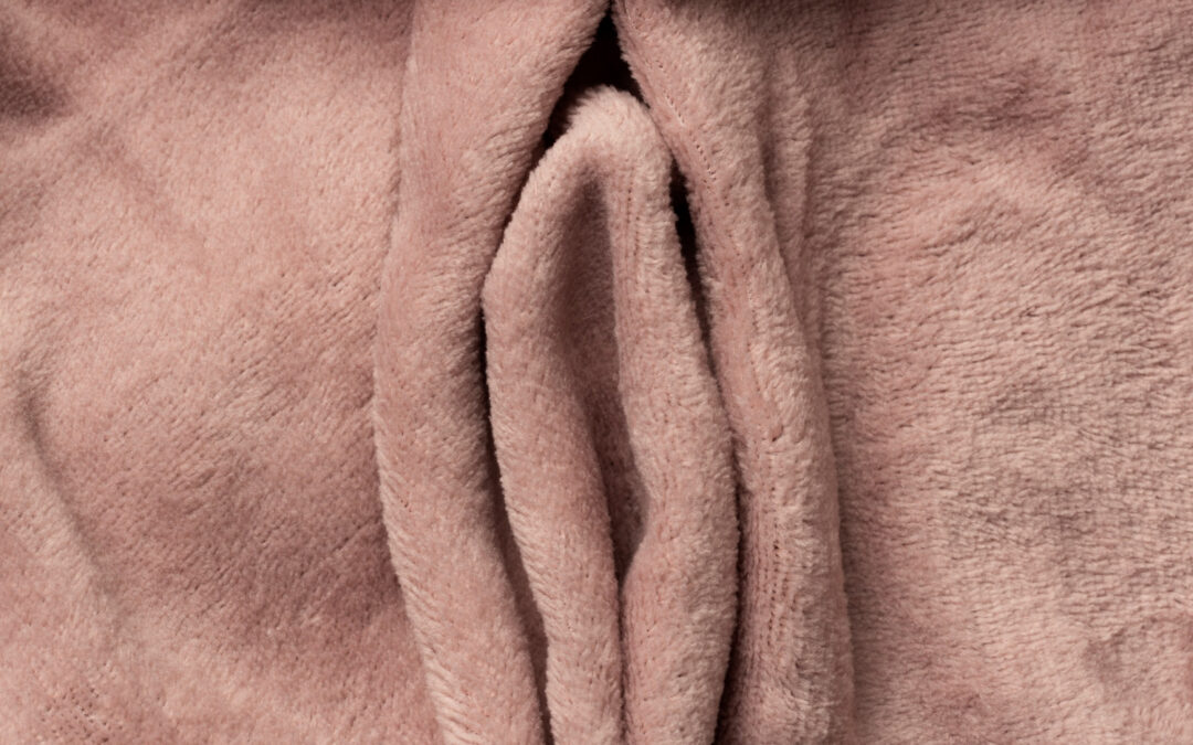 Why You Should Choose A Female Plastic Surgeon For Your Labiaplasty