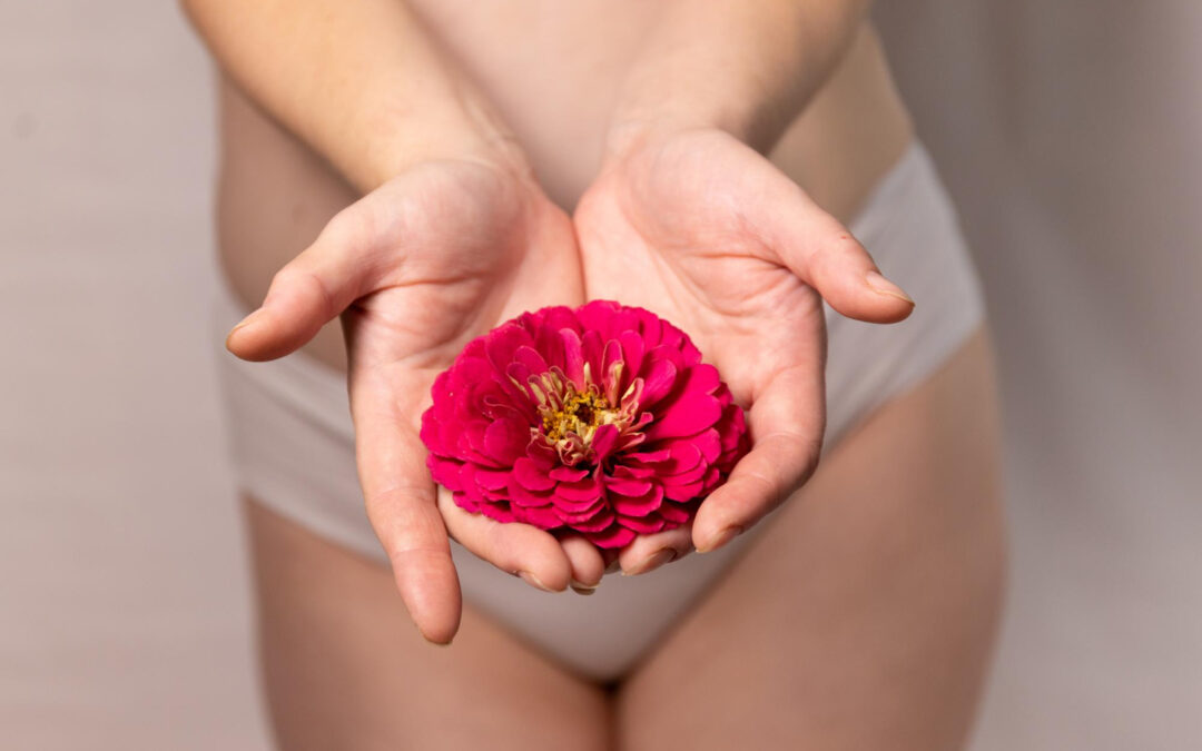 Learning the Basics About Labiaplasty